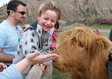 Boy with Highland Cattle
