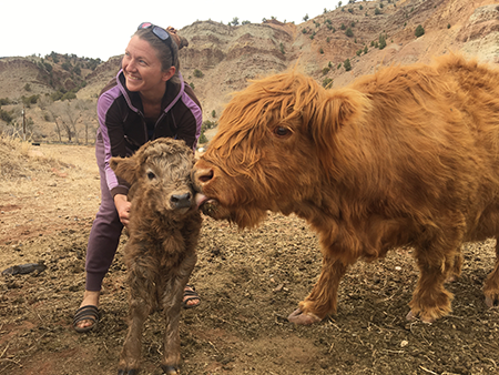 Terena and Mama Kissing Baby Highland Cattle