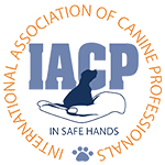 IACP Logo